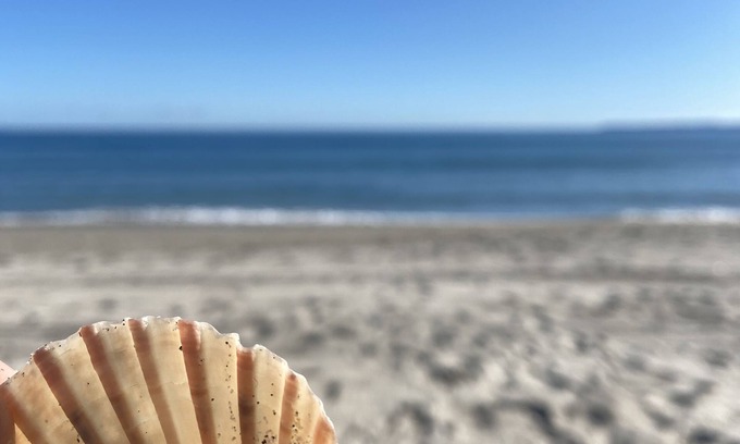 Papamoa Beach House | Beach rental. Peace and Tranquility