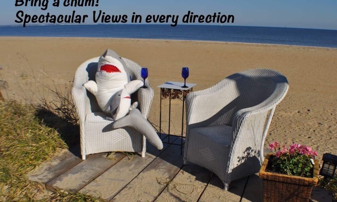 Willoughby Spit Cottage | BEACH THERAPY! Stay on the Beach! Fish, Swim, Kayak, Have fun!