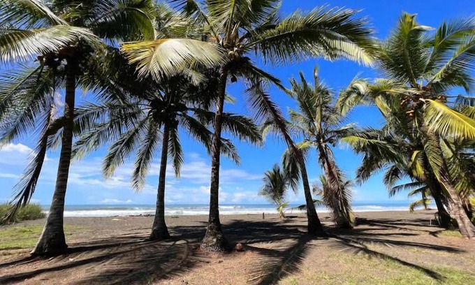 Parrita House | Beachfront-Luxury-Wildlife-Fast internet