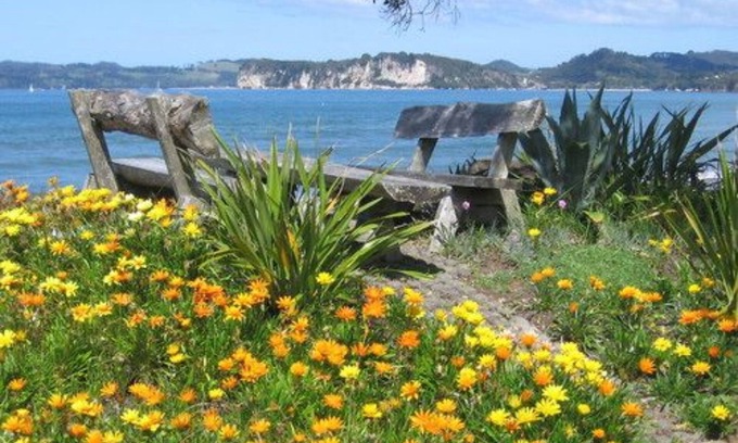 Whitianga Apartment | Beachfront Resort