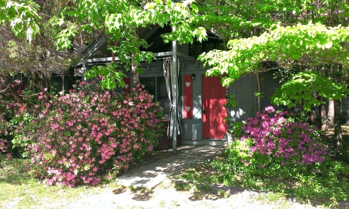 Sautee Nacoochee Cottage | Bear Paw Cottage #5 Queen; Hot Tub; Pet Friendly; 2 Adults/2 Children Max