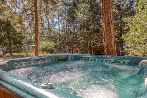 Idyllwild House | Bear's Den