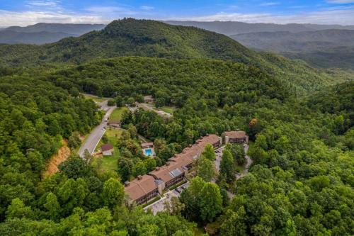 Sevierville Apartment | Bearadise Mountain Getaway by Eden Crest
