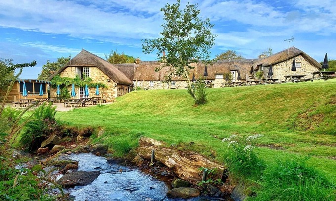 English Riviera Hotel | Bearslake Inn