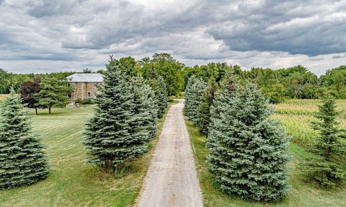 Georgetown Cabin | Beautiful 5-Bedroom Estate With Full Privacy