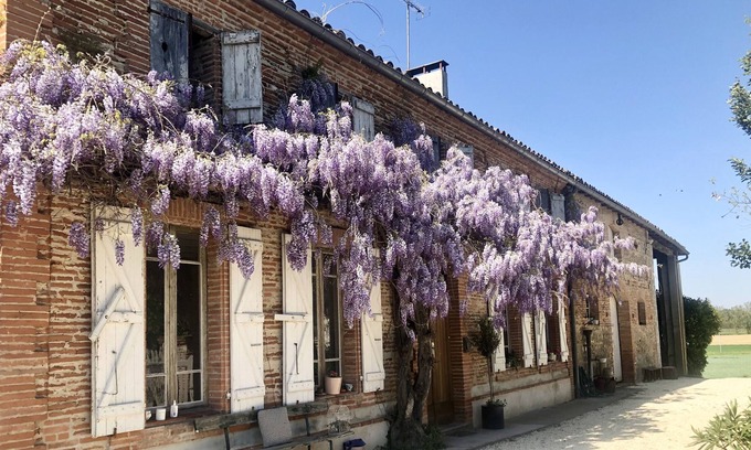 Castelferrus House | Beautiful 6 Bedroom Farm House in Tarn et Garonne