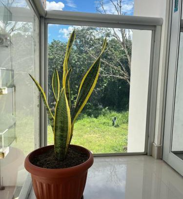 Cacatachi Apartment | Beautiful Apartment in Tarapoto