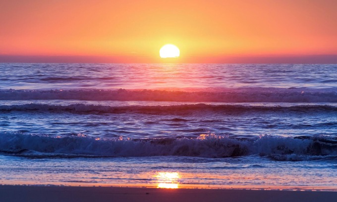 Del Mar Apartment | Beautiful Del Mar Beach Studio 2 blocks to Sandy Beach