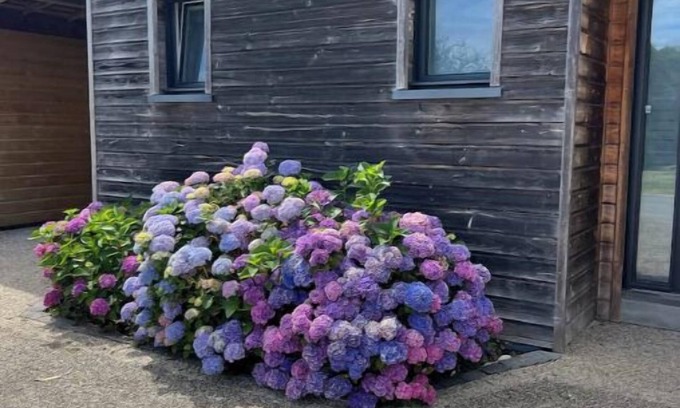 Plouhinec House | Beautiful house in southern Brittany by the sea