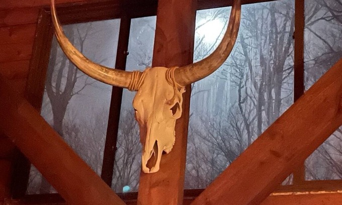 Prattsburgh Cabin | Beautiful Log Home - NY Finger Lakes- Wineries, Hiking, Breweries, Distilleries