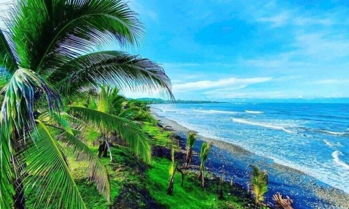 Saladita Apartment | Beautiful oceanfront Room right on Playa La Saladita!n