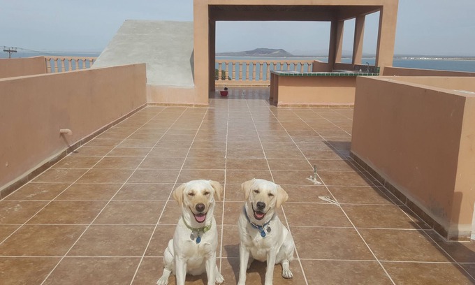La Choya House | Beautiful Ocean Views and Spacious Patios. Enclosed Vehicle Parking .