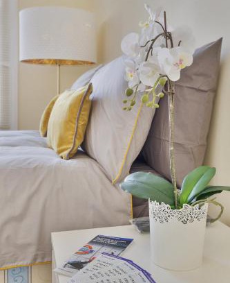Shepherd's Bush Apartment | Beautiful Studio Flat - Shepherds Bush Westfield