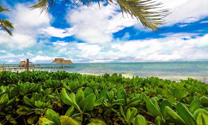 Puerto Juarez Apartment | Beautiful Suite Mexican beach front