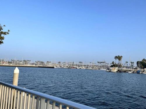 Belmont Shore Apartment | Beautiful unit in the heart of Belmont Shores !