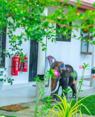 Sooriyawewa Resort | Beddegama Villa & Resort