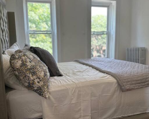 Bedford-Stuyvesant Apartment | Bedstuy beauty