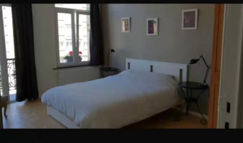 Haut-Bois Apartment | Bel appartement au centre de Bruxelles