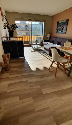 Carabacel Apartment | Bel Appartement plein centre Nice