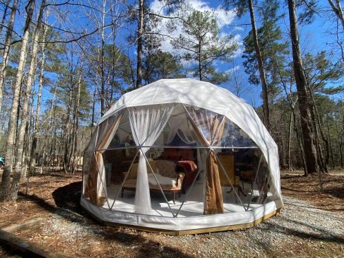 Lake Oconee Other | Beloved Cabin - Artistic Dome