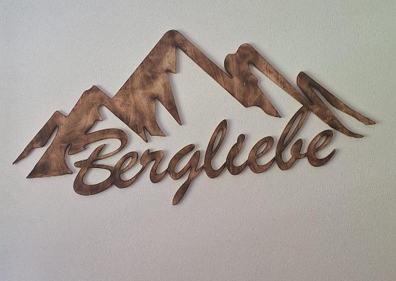 Sankt Martin am Tennengebirge Apartment | Bergliebe