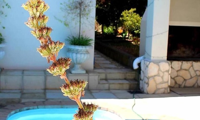 Swellendam Bed & Breakfast | Bergview