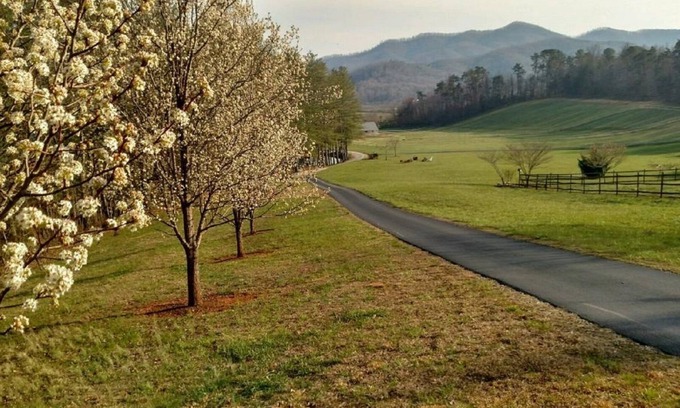 Franklin Apartment | Best Vacation Mountain Experience/* Forestry Student Special*