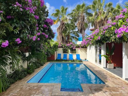 Noord House | Best Villa at a TOP location