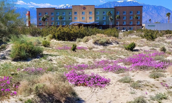 Cathedral City Hotel | Best Western Plus Coachella Valley Inn & Suites