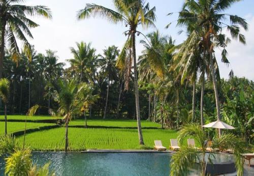 Kemenuh Resort | Bhanuswari Villas Ubud
