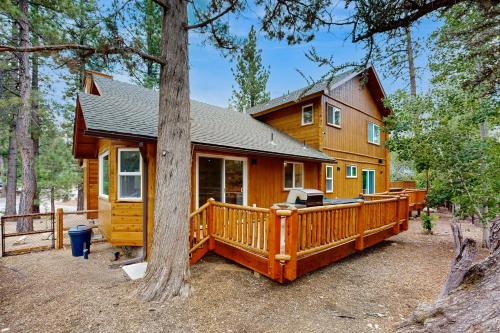 Eagle Mountain Estates House | Big Bear White Skies #674