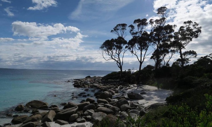 Binalong Bay House | Binalong Bay Beach Shack
