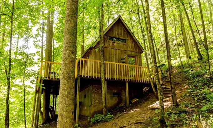 Slade House | Bird Nest Cabin: A Charming Hideaway Close to Natural Bridge, Dining, and Trails
