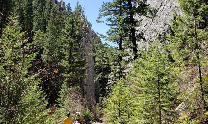 Helena Cabin | Birders delight! Beautiful hiking! Mountain biking! Fishing!
