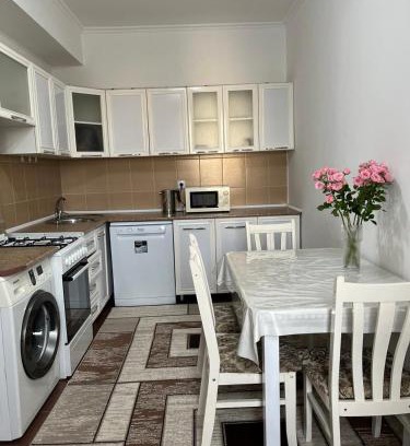 Bishkek Apartment | Bishkek Uptown Apartment
