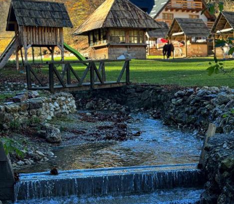 Sarajevo Canton Bed & Breakfast | Bjelasnica-Villa-Treskina dvorišta-Apartmani-Izletište-Ribnjak