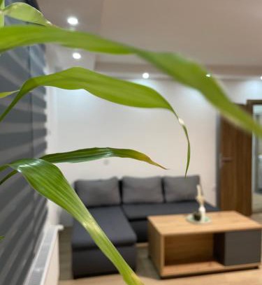 Novi Sad Apartment | Blanco 5