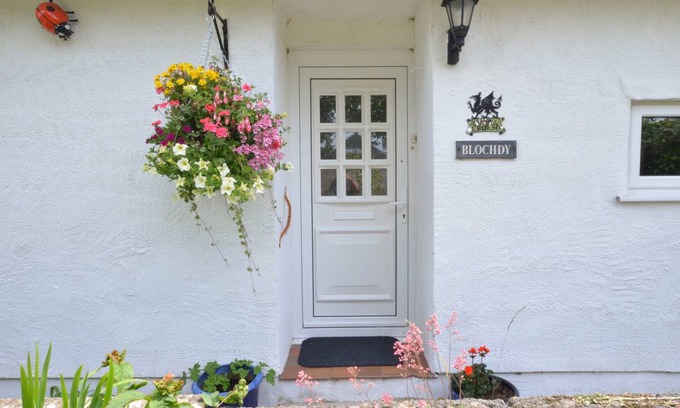 Llanfairpwllgwyngyll Cottage | Blochdy