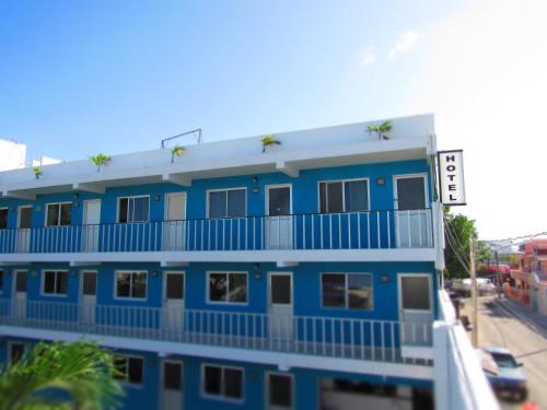 Downtown Cancun Hotel | Blue Coconut Cancun Hotel