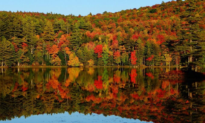 Londonderry Bed & Breakfast | Blue Gentian Lodge at Magic Mountain