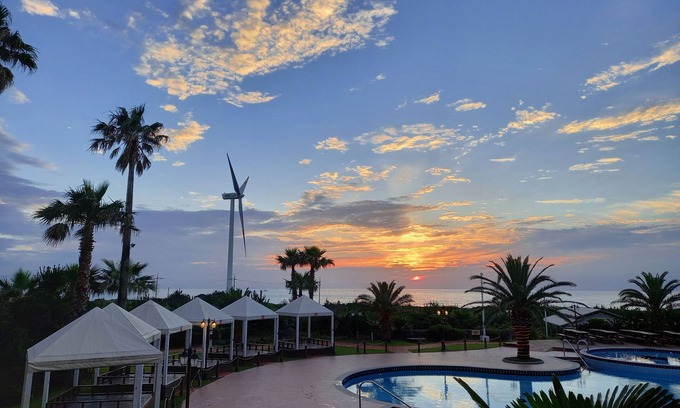 Hallim Hotel | Blue Hawaii Hotel
