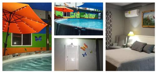 Orange Walk Apartment | Blue Morpho Suite