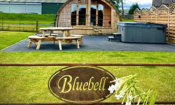 St Harmon House | Bluebell