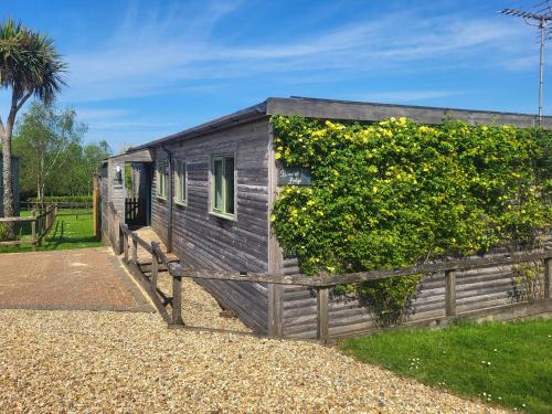 Holsworthy House | Bluebell Lodge
