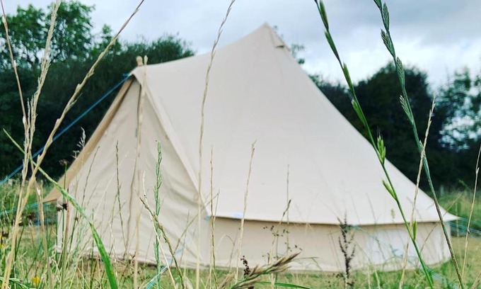 Whitchurch Other | Bluebell Wilds