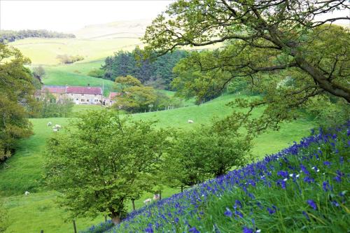 Urra House | Bluebells Cottage