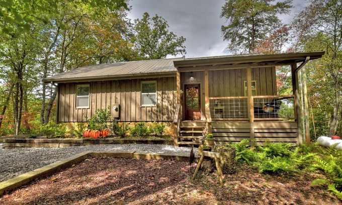 Blue Ridge Cottage | Blueberry Hill | Fire Pit | MTN Views | Grill