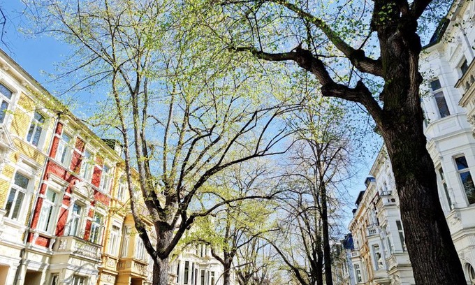 Suedstadt Bed & Breakfast | Blues & Chutney Bonn