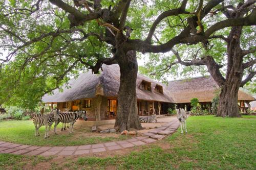 Hoedspruit House | Blyde River Canyon Lodge