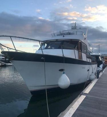 Torquay City Centre Boat Rental | Boat in Torquay marina